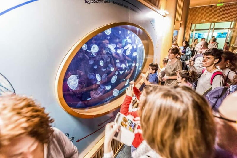 Valencia Oceanogràfic Entry with Backstage tour in Spanish - FAQ