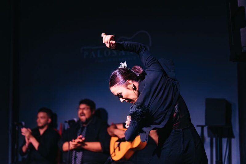 Valencia: Palosanto Flamenco Show Ticket - What You Can Expect from the Flamenco Show