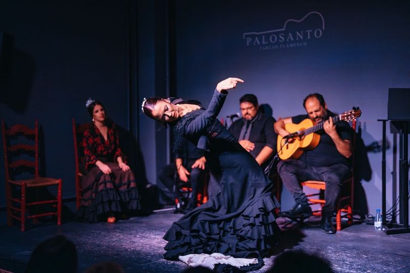 Valencia: Palosanto Flamenco Show Ticket - The Performers: Artistic Direction and What People Keep Praising
