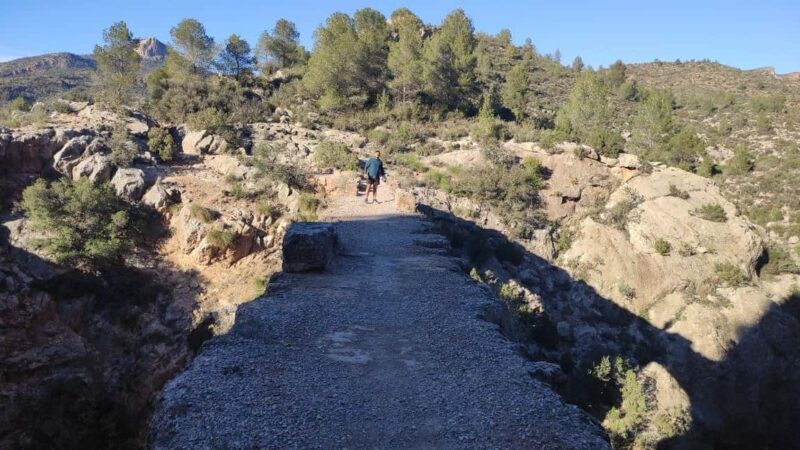 Valencia: Peña Cortada Aqueduct Guided History Hike - Key Points