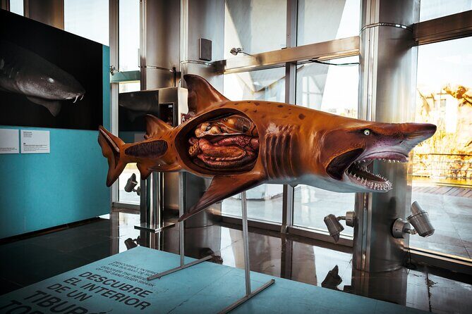 Valencia Private Family Tour - Who Is This Tour Best For?