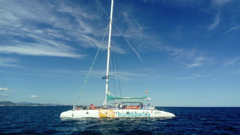 Valencia: Sailing Catamaran Cruise with Valencian Lunch - FAQ