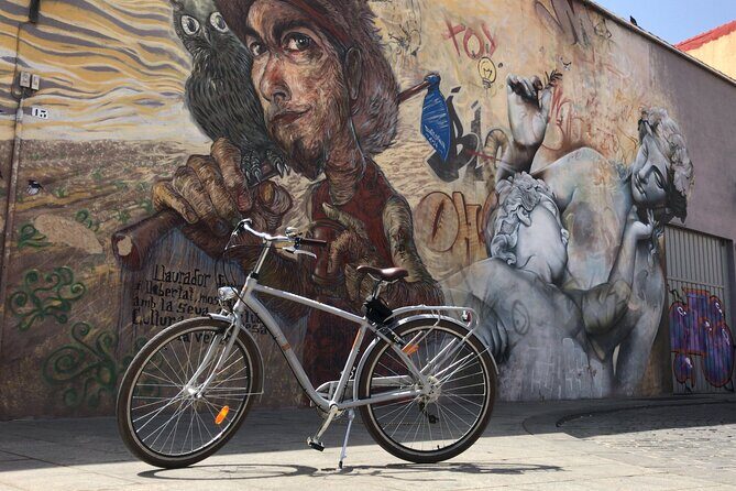 Valencia Street Art | Private Tour by Bike or Electric Ride - A Closer Look at the Valencia Street Art Tour