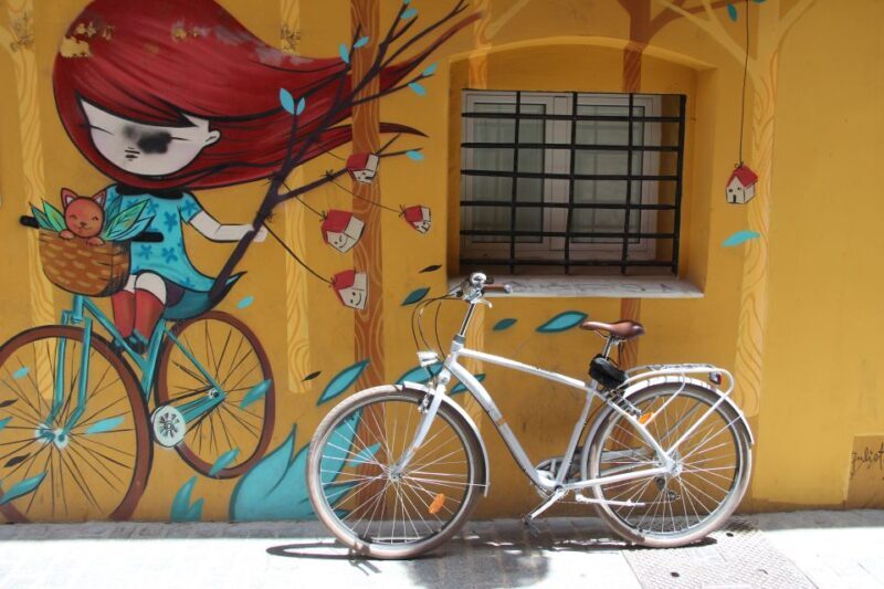 Valencia: Street Art Tour on Bicycle, E-Bike or E-Step - A Closer Look at What You Can Expect