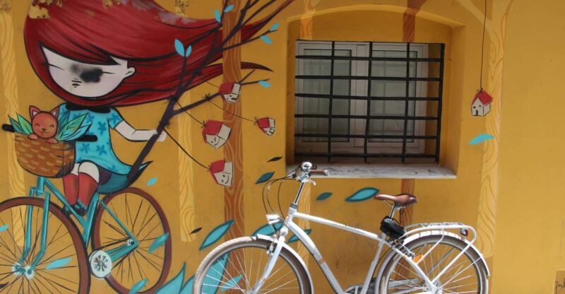 Valencia: Street Art Tour on Bicycle, E-Bike or E-Step - Unique Murals You Might Not Find Elsewhere