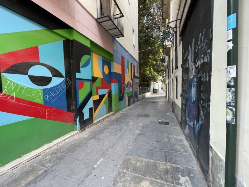 Valencia: Street Art Tour on Bicycle, E-Bike or E-Step - What the Reviews Say