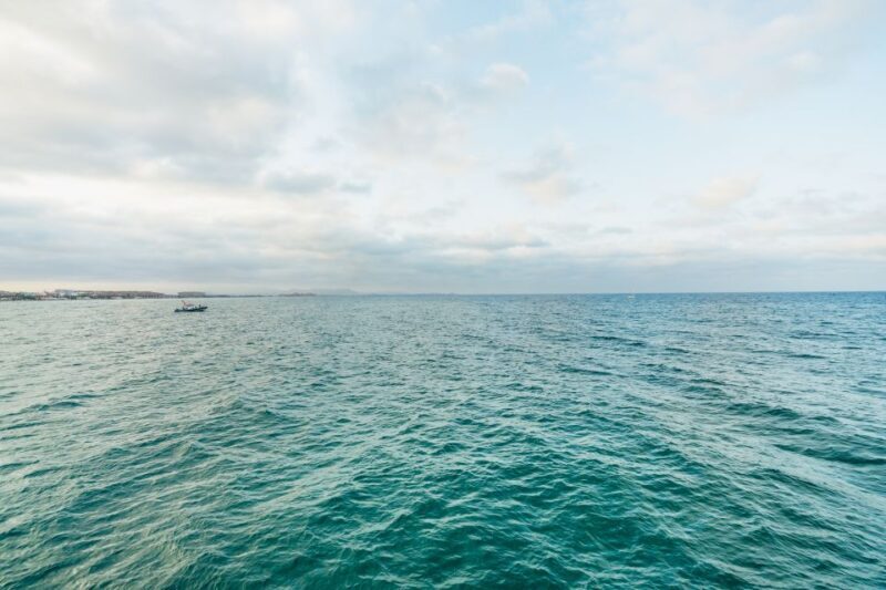 Valencia: Sunset or Daytime Catamaran Cruise with Drink - Final Thoughts