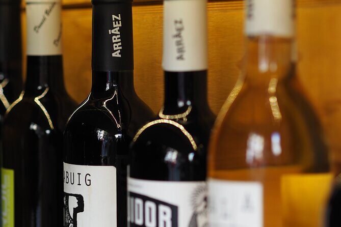 Valencia Tapas Crawl by Food Lover Tour - Who Should Consider This Tour?