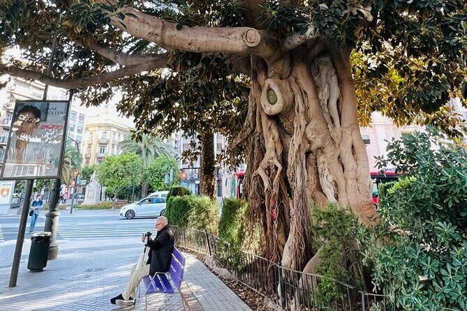 Valencia: Top 25 Highlights Guided Bike Tour - Value for Money