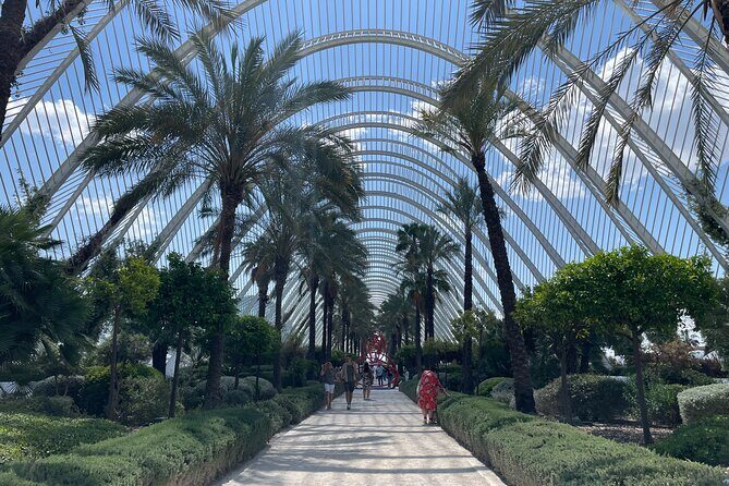 Valencia: Top 25 Highlights Guided Bike Tour - Practical Details & Tips