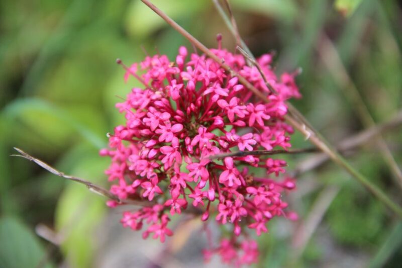 Valencia: Turia & Cabecera Park Private Segway Tour - Analyzing the Value