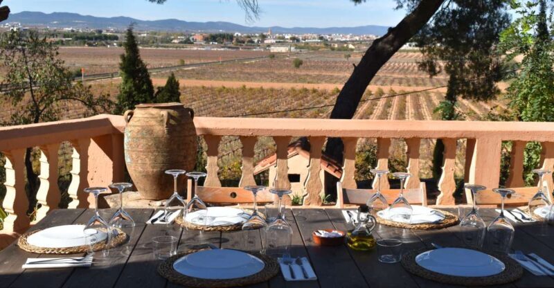 Valencia: Utiel-Requena Cave & Winery Day Trip with Tasting - What You’ll Experience & Why It Matters