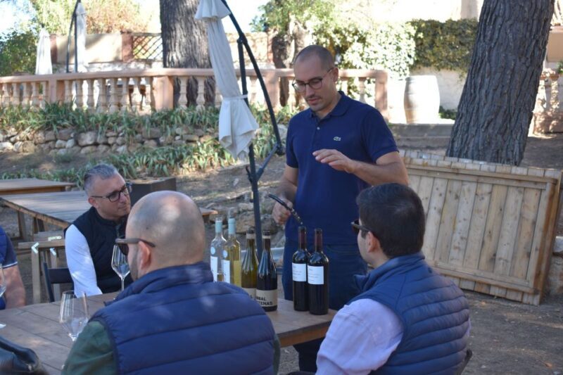 Valencia: Utiel-Requena Cave & Winery Day Trip with Tasting - Analyzing the Value