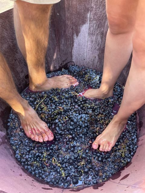 Valencia: Utiel-Requena Cave & Winery Day Trip with Tasting - Frequently Asked Questions