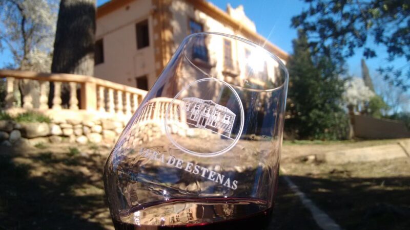 Valencia: Utiel-Requena Cave & Winery Day Trip with Tasting - Final Thoughts