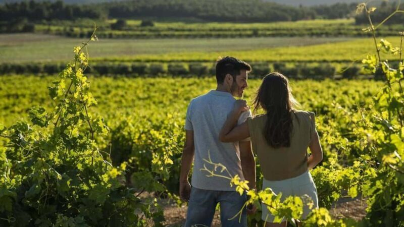 Valencia: Vineyard Tour, Local Wine, Cava Tasting & Snacks - Discovering the Essence of Valencia’s Winemaking
