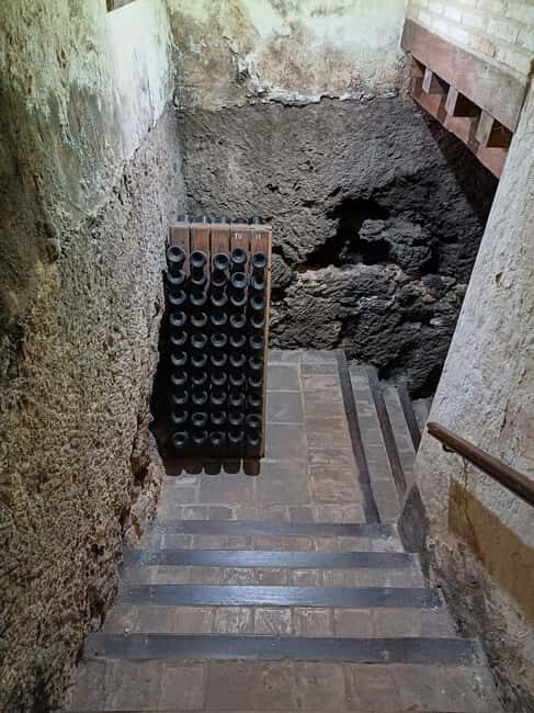 Valencia: Vineyard Tour, Local Wine, Cava Tasting & Snacks - Transport and Group Size