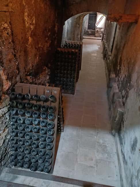 Valencia: Vineyard Tour, Local Wine, Cava Tasting & Snacks - Who Will Love This Experience?