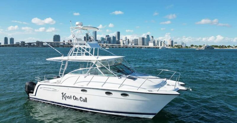 Valencia: VIP Sunset Cruise in Catamaran with drink - Practical Details You Should Know