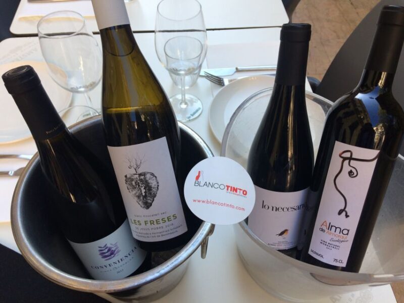 Valencia: Wine Tasting and Tapas Experience - The Practical Details