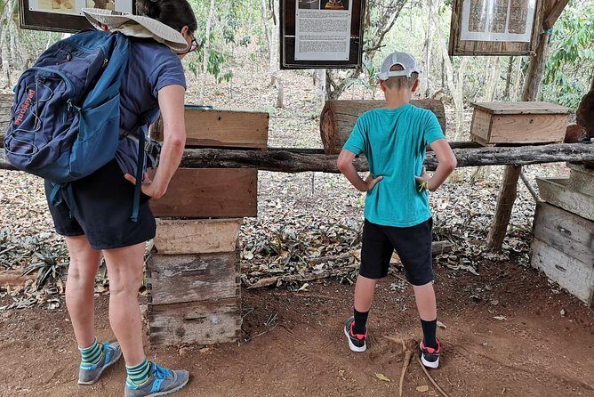 Valladolid Mayan Bees Tour with Lunch or breakfast and Honey Tasting - What to Expect from the Valladolid Beekeeping Tour