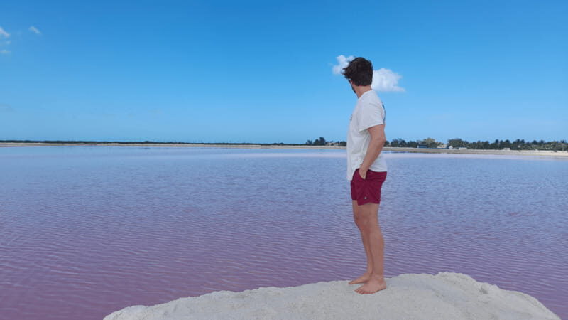 VALLADOLID: RIO LAGARTOS + LAS COLORADAS + CENOTE (SHARED TRIP) - Practical Tips for Your Trip
