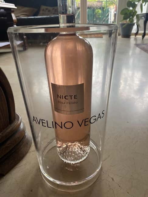 VALLADOLID: TOUR with a sommelier. Tasting of 3 wines + TAPAS. - Key Points