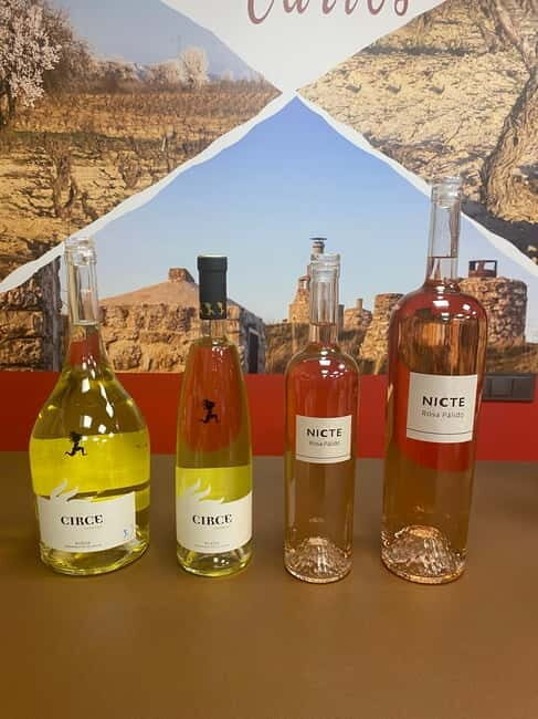 VALLADOLID: TOUR with a sommelier. Tasting of 3 wines + TAPAS. - FAQ