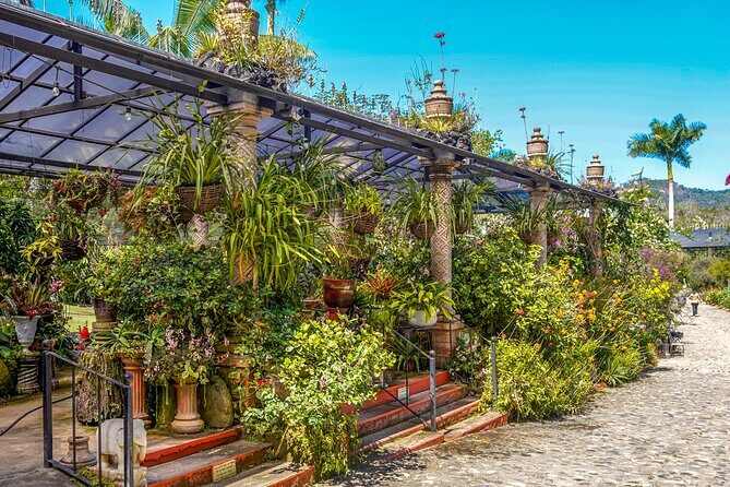 Vallarta Botanical Garden: Private Day Trip of Flora & Fauna - A Closer Look at the Vallarta Botanical Garden Private Tour