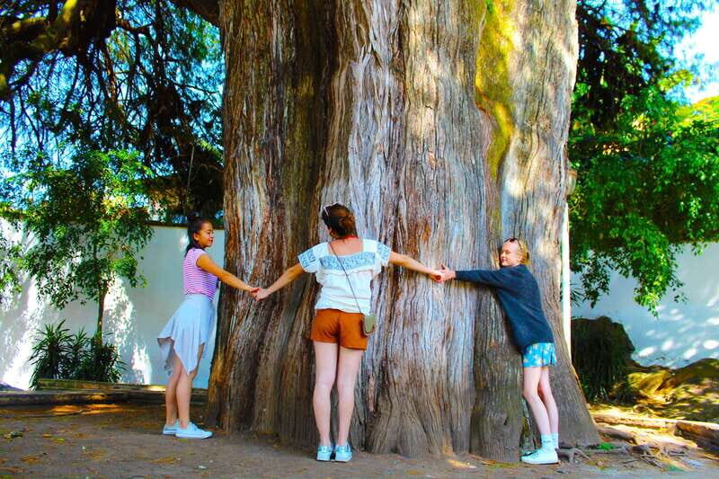 Valle de Bravo: Half-Day Guided City Tour by Van - Final Thoughts