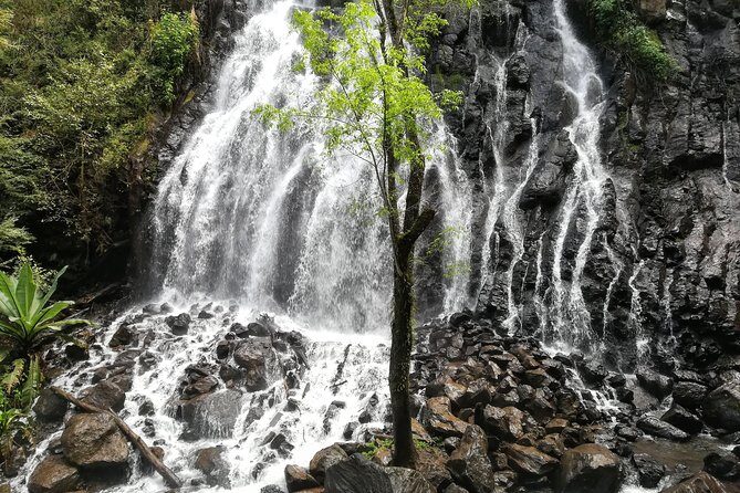 Valle de Bravo: Private & Small group tour from Mexico City - Who Should Consider This Tour?