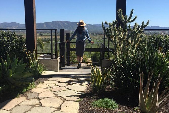 Valle de Guadalupe COUPLES wine tasting for 2 - What to Keep in Mind