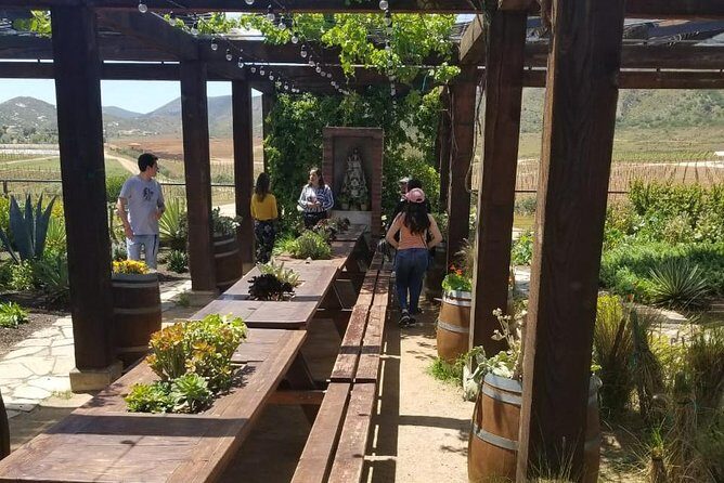 Valle de Guadalupe COUPLES wine tasting for 2 - Frequently Asked Questions
