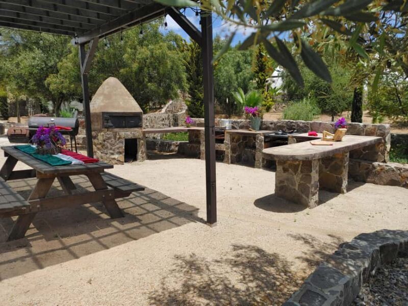 Valle de Guadalupe: Mexican Cooking at Hacienda Eco-Domes - Pricing and Value