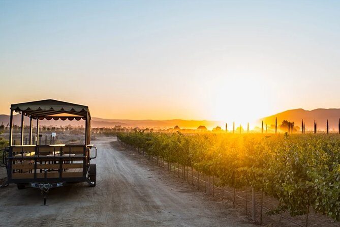 Valle de Guadalupe Premium Wine & Vineyard Wagon Tour - The Group Dynamics and Practicalities