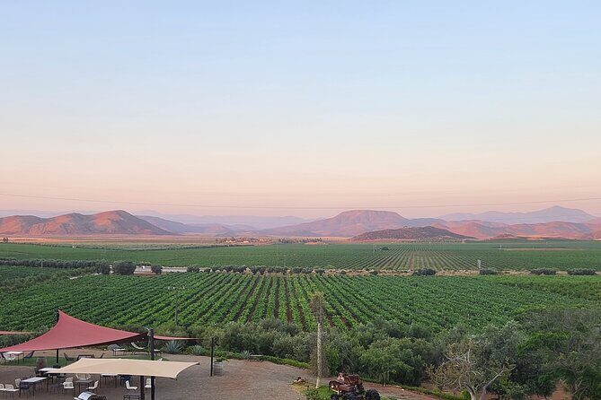 Valle de Guadalupe Private Wine Tour - What You Can Expect from the Tour