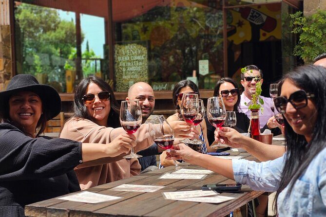 Valle de Guadalupe Wine Experience: Wine Tastings Included - Setting the Scene: The Valle de Guadalupe Tour Overview