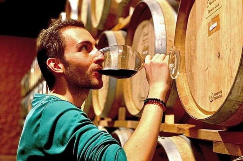 Valle de Guadalupe: Wine Tasting and Wagon Tour - Key Points