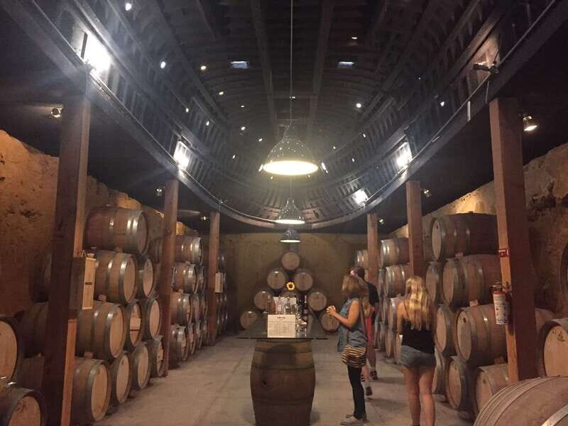 Valle de Guadalupe Wine Tasting Tour - Key Points