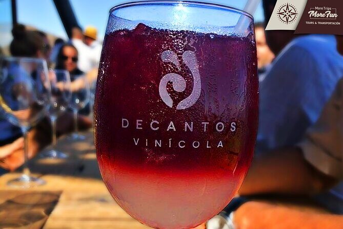 Valle de Guadalupe winery and brewery tours - An In-Depth Look at the Valle de Guadalupe Tour