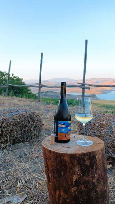 Valle del Belice: Informal and authentic tasting of artisan wines - An intimate taste of Sicily in the Valle del Belice