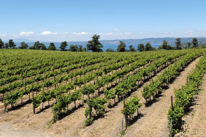 Valle del Lago eBike Tour with Food & Wine Tasting Experience - FAQ