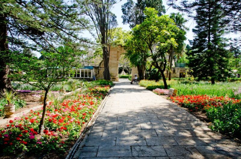 Valletta: Malta's Noble Homes and Palaces Private Tour - An Honest Look at the Tour