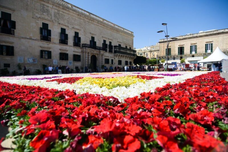Valletta: Street Food and Culture Walking Tour - Who Will Love This Tour?
