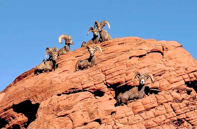 Valley of Fire - Key Points