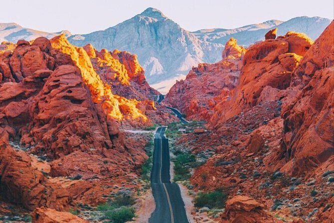 Valley of Fire Tour - What Travelers Love About the Valley of Fire Tour