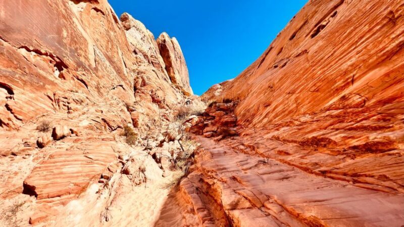 Valley of Fire VIP Small Group Tour From Las Vegas - Final Thoughts