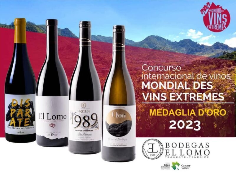 Valley of Tegueste: Wine Tour with Tasting at El Lomo Winery - The Experience in Detail