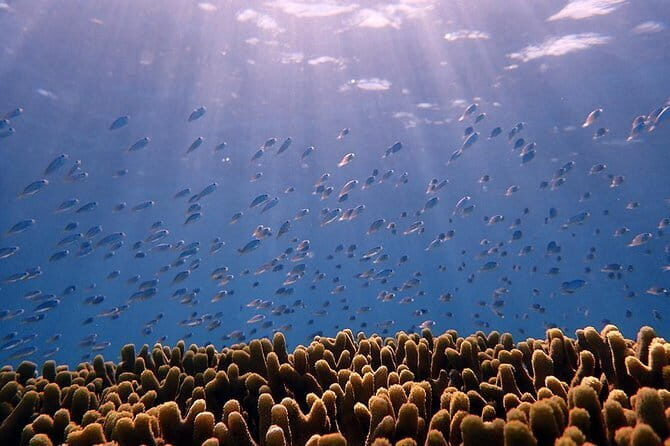 Valley of the Latte Kayaking Adventure Tour with Lunch No Transportation - The Experience in Practice: Real Traveler Perspectives