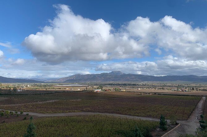 Valley tour /Bakuss/bloodlust/Relief/restaurant Elena/justina - Final Tips